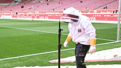 Ein Techniker versucht vor dem Spiel einen Bienschwarm zu entfernen. (Foto: Bernd Weißbrod/dpa)