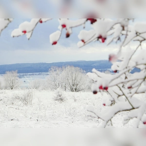 Winterliche Impressionen - gesehen am Hesselberg. (Foto: Sonja Wittgruber)