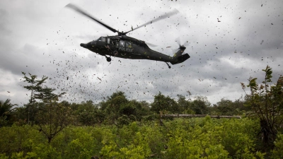 Ein Polizeihubschrauber landet auf einer Kokaplantage in Tumaco im Südwesten Kolumbiens (Archivbild). (Foto: Ivan Valencia/AP/dpa)