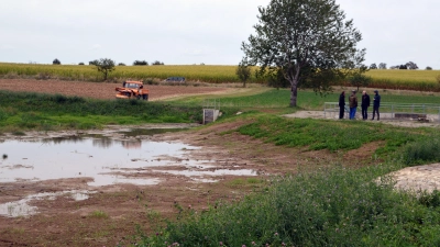 Der Weg der Exkursionsteilnehmer führte auch zur ehemaligen Neuherberger Teichkläranlage. Sie hat nun als Wasserrückhalt und Retentionsfläche ein zweites Leben bekommen. (Foto: Johannes Zimmermann)