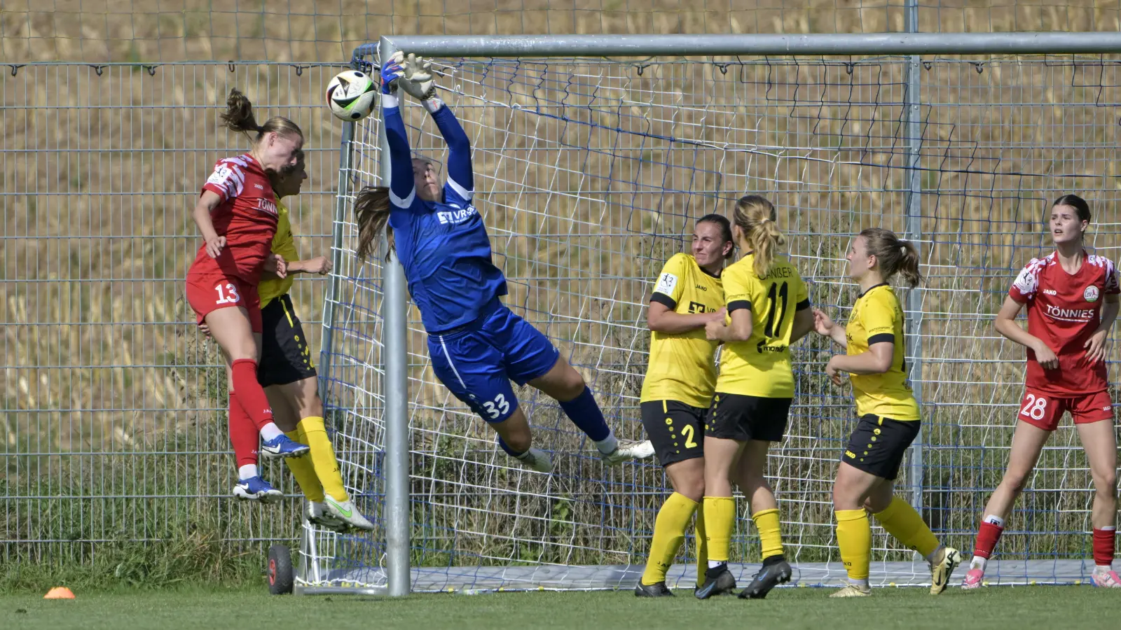 Mutig wirft sich die Weinberger Torfrau Franziska Glaser dem Ball entgegen. In der 2. Bundesliga der Frauen kam der SV Weinberg (in Gelb) gegen den FSV Gütersloh zu einem 2:1-Sieg und ist wieder Tabellenführer. (Foto: Martin Rügner)