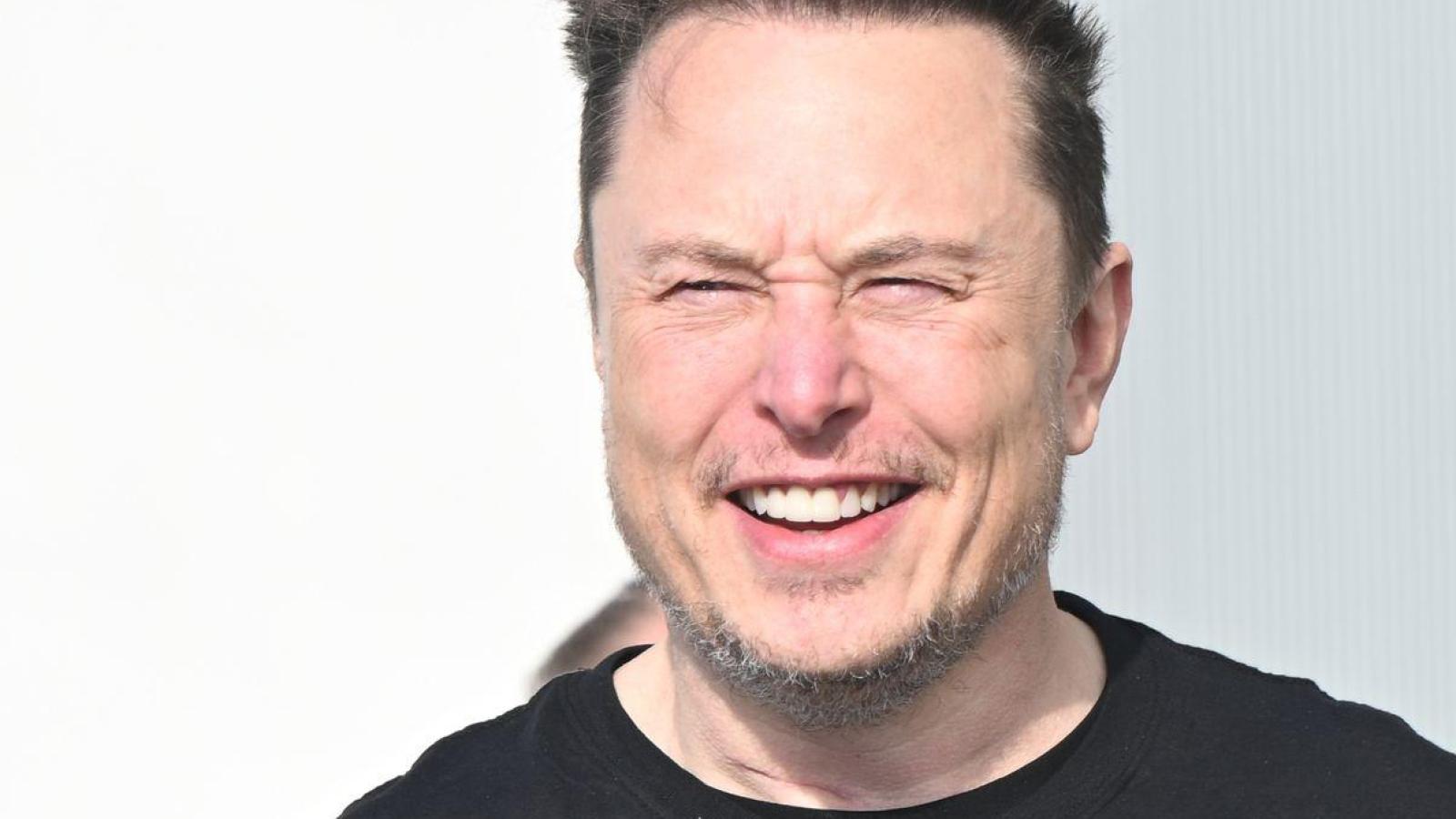 Brasiliens Justiz Leitet Ermittlung Gegen Musk Ein Flz De