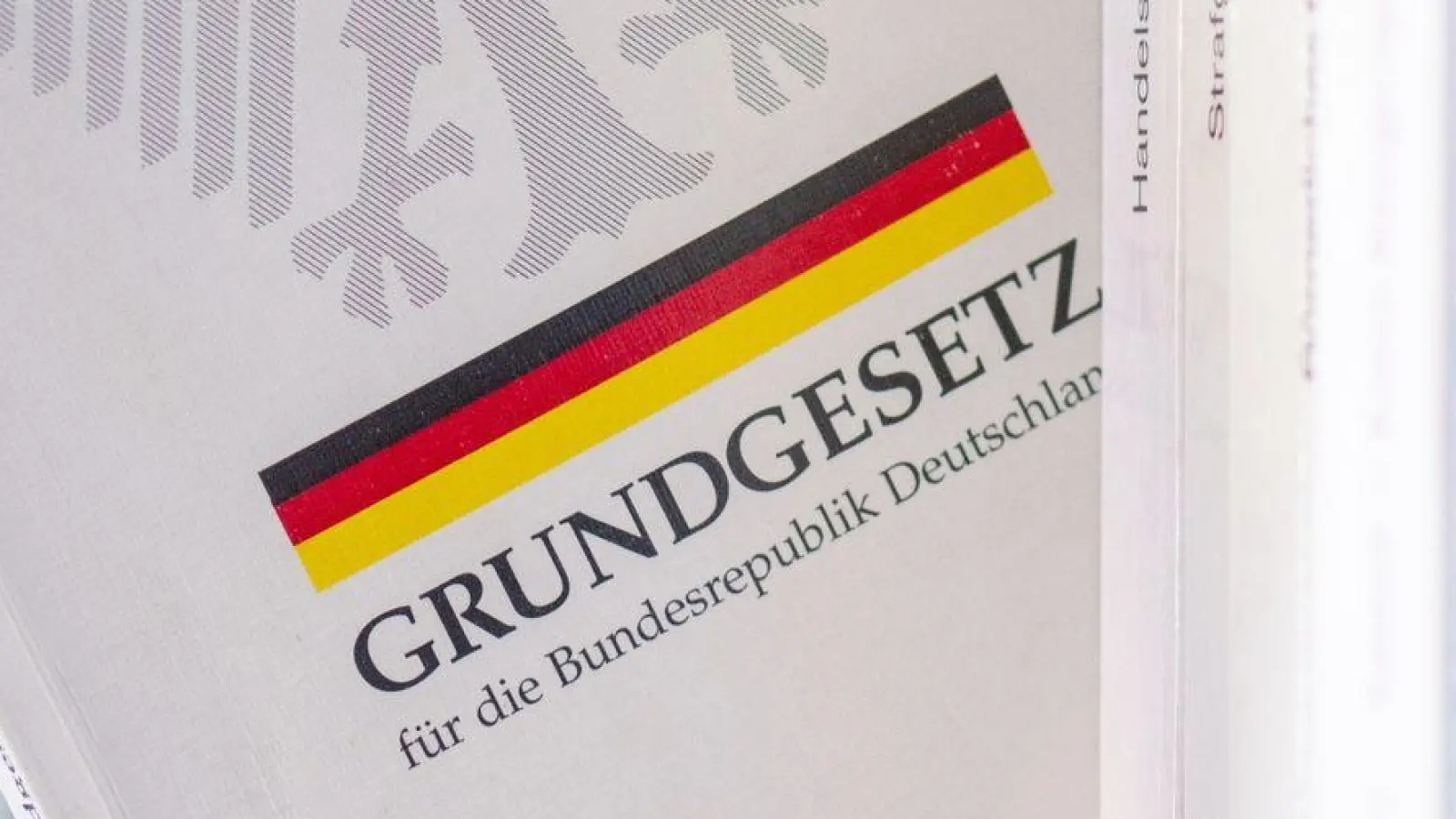 Das Jahr des Grundgesetz-Jubiläums dürfte ein entscheidendes werden in der Geschichte der bundesdeutschen Demokratie. (Foto: Hendrik Schmidt/dpa)