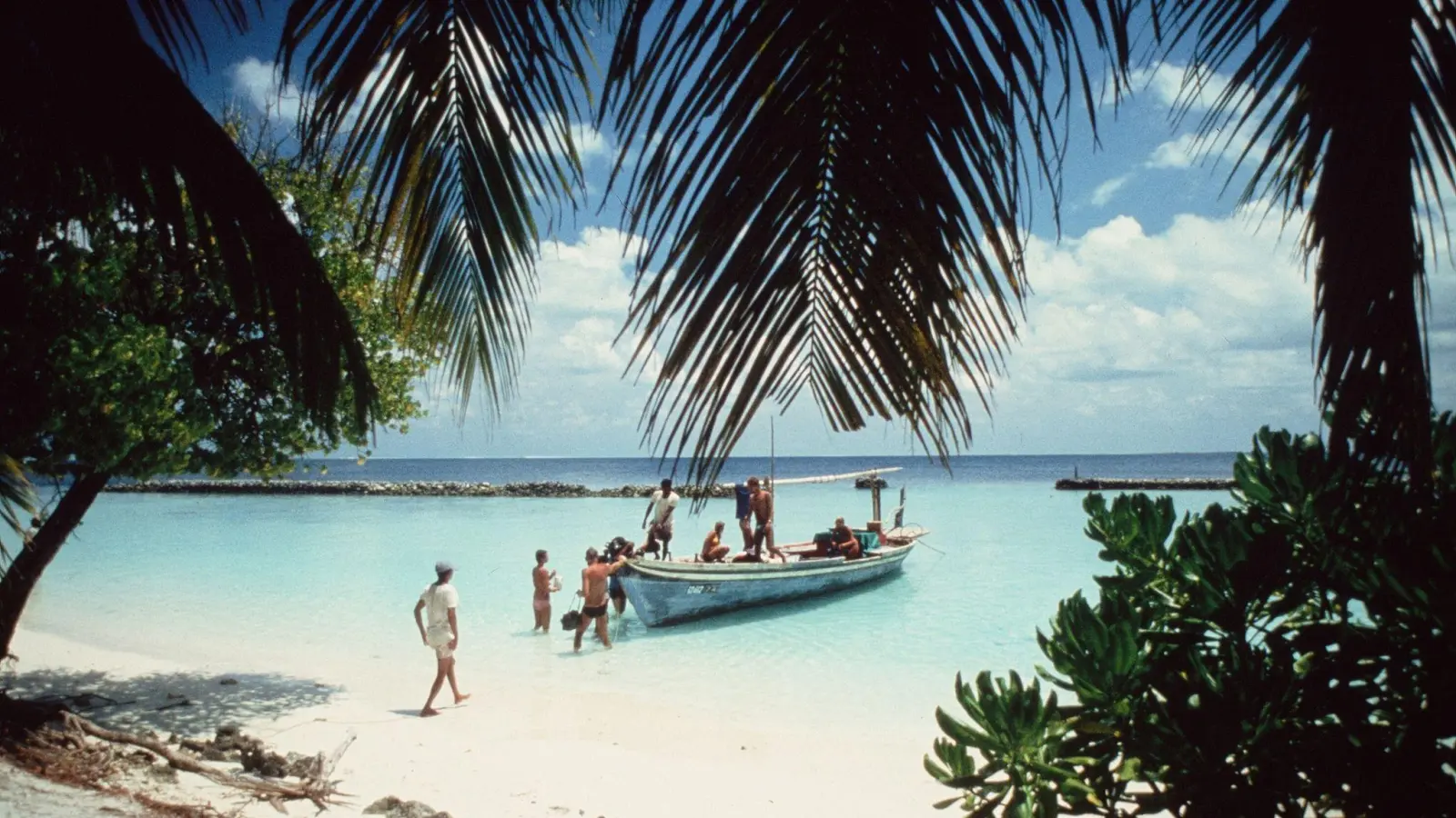 Besonders in den touristischen Anfangsjahren zog es vor allem Tauchbegeisterte auf die Malediven. (Foto: Kurumba Maldives/dpa-tmn)