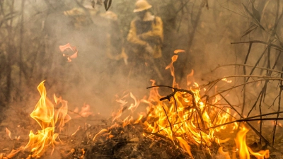 Feuerwehreinheiten bekämpfen die schlimmen Waldbrände im Pantanal. (Foto: Marcelo Camargo/Agencia Brazil/dpa)