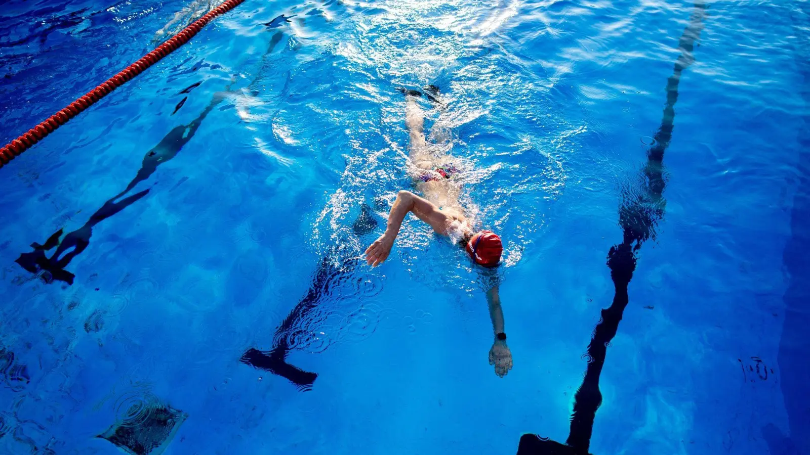 Längst nicht immer hat man so viel Platz im Schwimmbecken. (Foto: Hauke-Christian Dittrich/dpa/dpa-tmn)