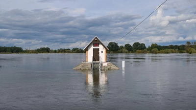 Das Pegelhäuschen bei Ratzdorf an der Oder ist von Wassermassen umgeben. (Foto: Patrick Pleul/dpa)