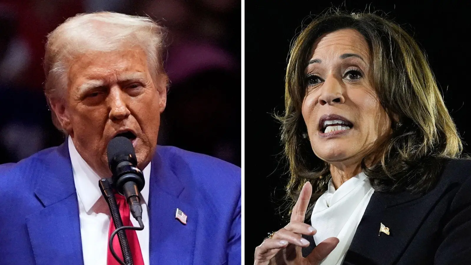 Hoffen auf Erfolg in den „Swing States“: Donald Trump und Kamala Harris. (Foto: VUCCI/MARTIN/AP/dpa)