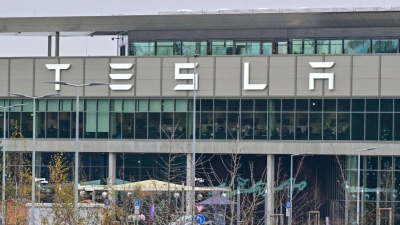 Die Investitionen von Tesla werden der ostdeutschen Wirtschaft nur einen begrenzten Schwung geben, glaubt das Ifo-Institut. (Foto: Patrick Pleul/dpa)