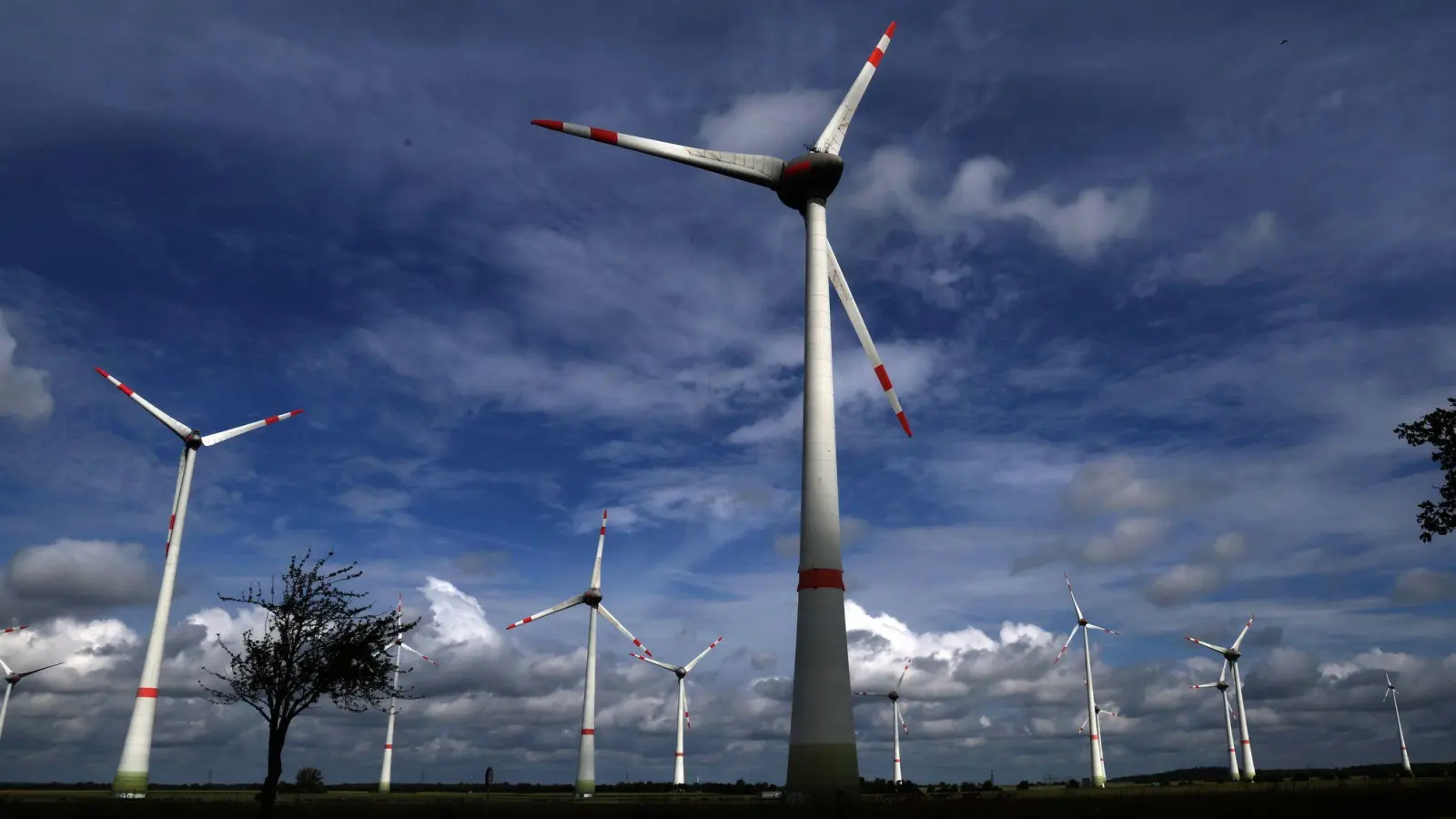 Die Energieagentur erwartet, dass bis 2030 mehr als die Hälfte des weltweiten Stroms aus emissionsarmen Quellen erzeugt wird. (Archivbild). (Foto: Bernd Wüstneck/dpa)