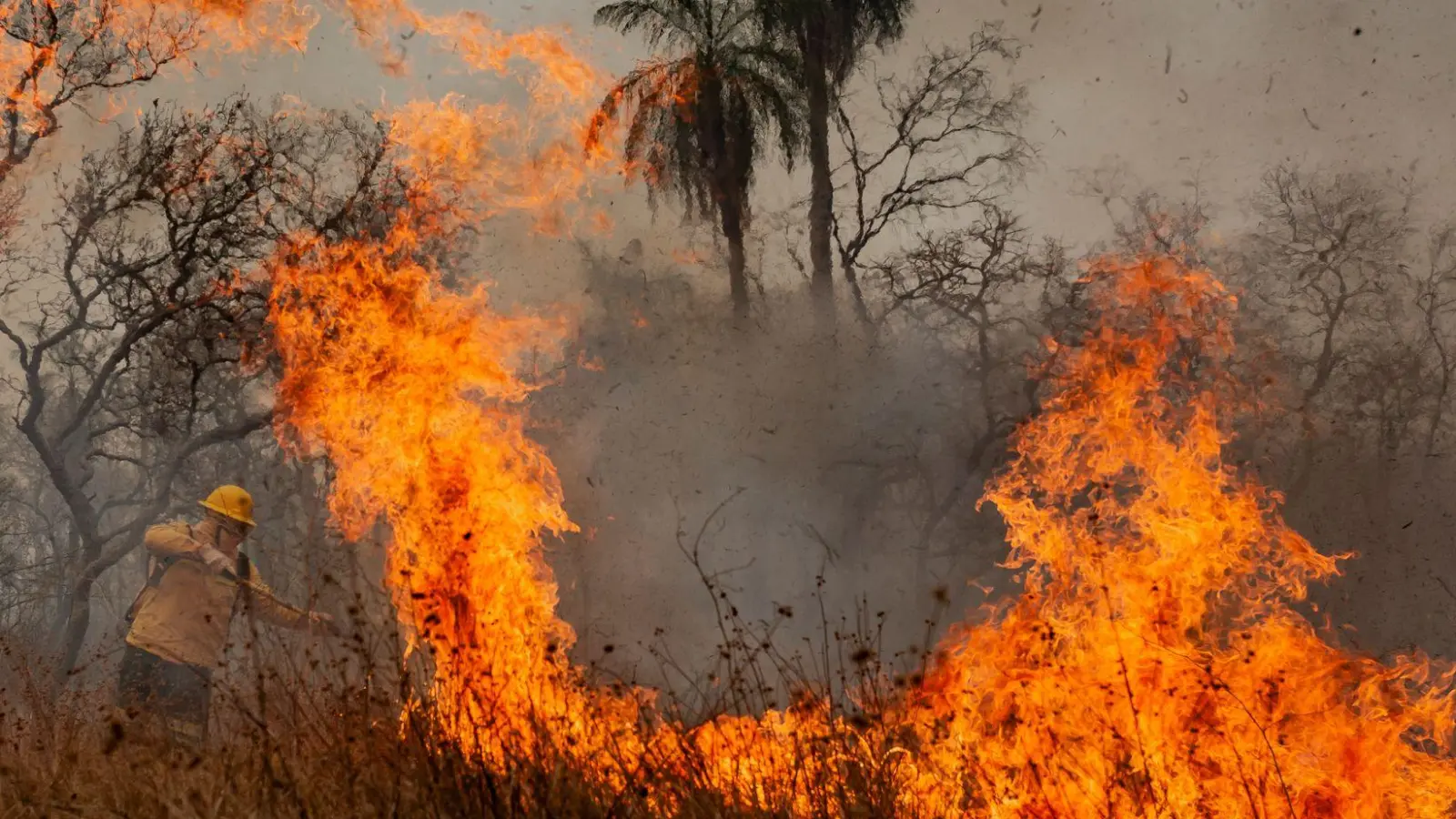 Das Feuer richtet Verwüstung in der gesamten Region an. (Foto: Diego Cardoso/dpa)