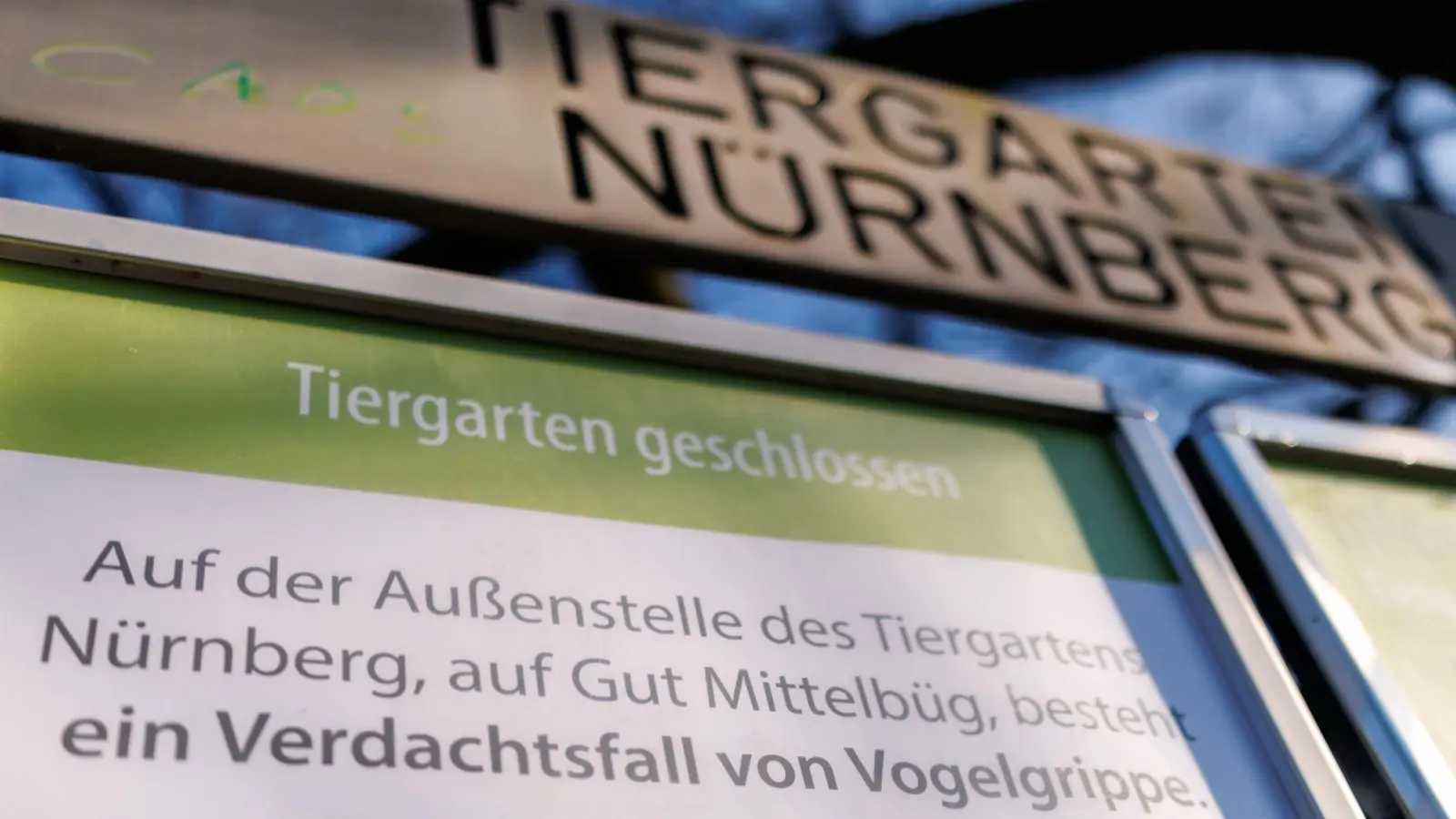 Wegen Vogelgrippe-Fällen bei Weißstörchen ist der Tiergarten Nürnberg aktuell geschlossen. (Foto: Daniel Karmann/dpa)