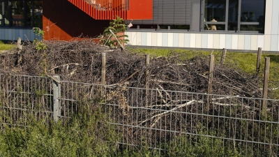 Eine Totholzhecke bieten vielen Tieren einen Lebensraum und kann als Strukturelement im Garten dienen. (Foto: Uwe Anspach/dpa/dpa-tmn)