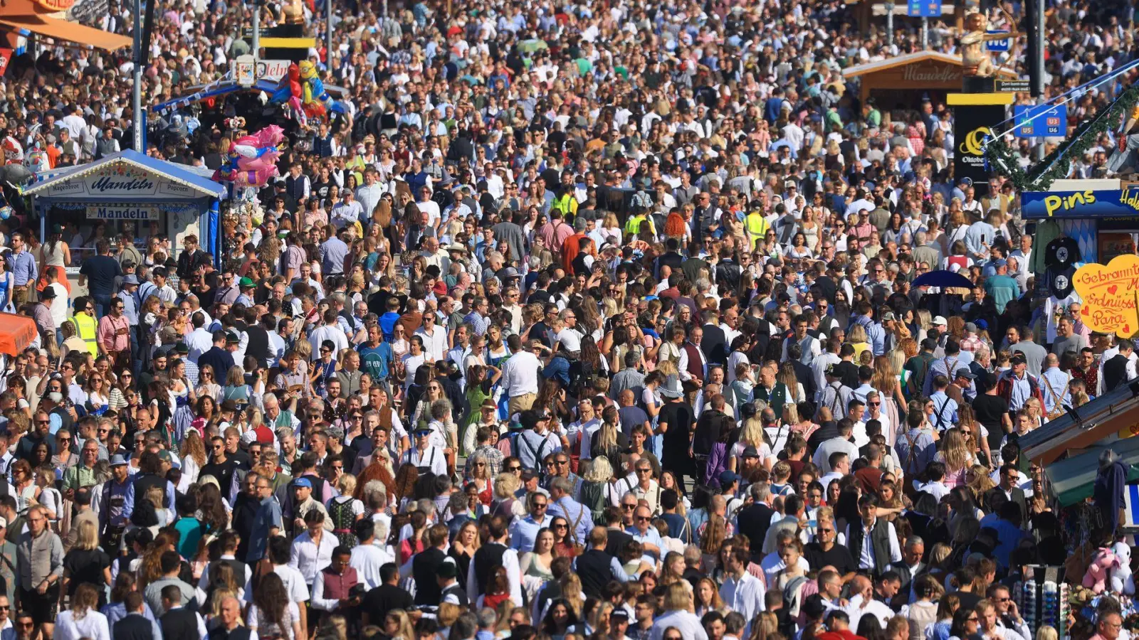 Dichtes Gedränge am Samstagnachmittag auf dem Oktoberfest. (Foto: Karl-Josef Hildenbrand/dpa)