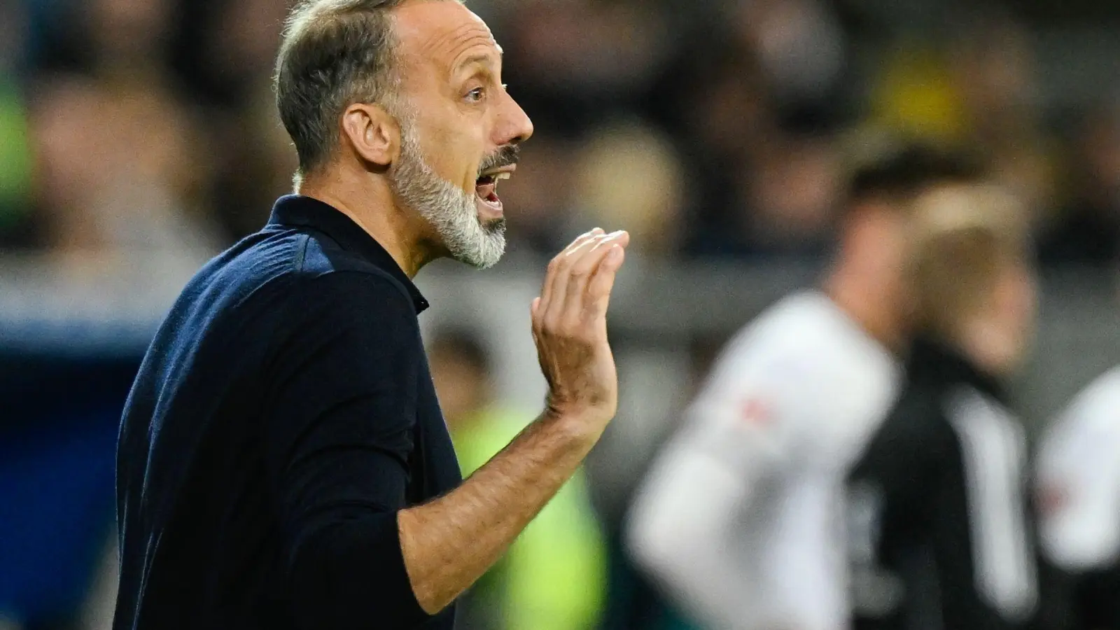 Hoffenheim-Trainer Pellegrino Matarazzo hat nach der Heim-Niederlage gegen den FC St. Pauli heftige Kritik an seiner Mannschaft geübt.  (Foto: Uwe Anspach/dpa)