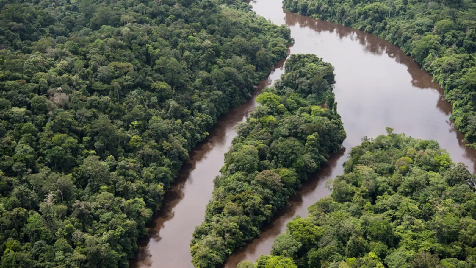 Regenwald und Fluss Ampari etwa 10 Meilen südöstlich vom Nationalpark Tumucumaque. (Foto: Daniel Beltrá/Greenpeace United Kingdom/dpa)