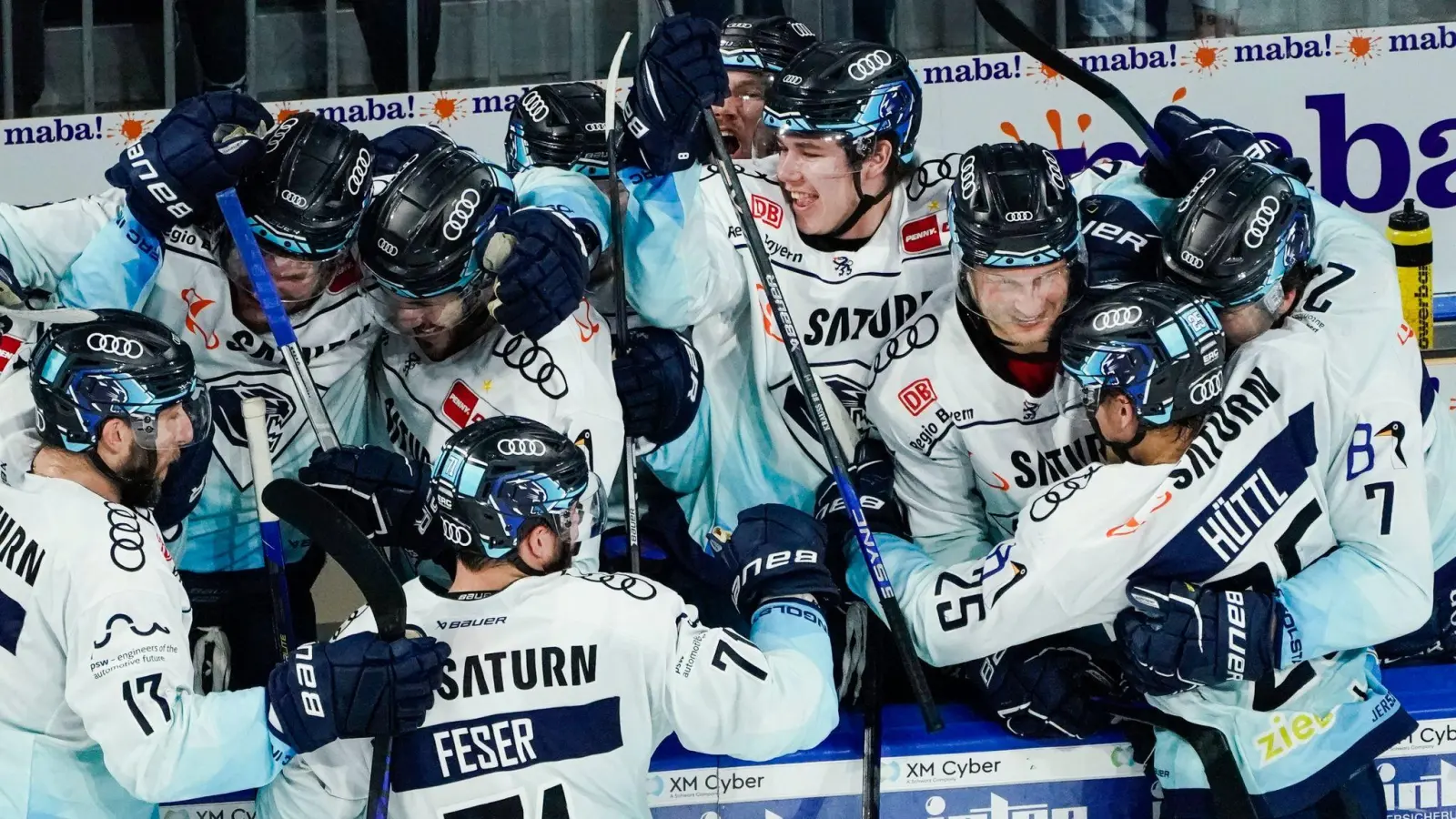 Ingolstadt hat das Finale der DEL-Playoffs erreicht. (Foto: Uwe Anspach/dpa)