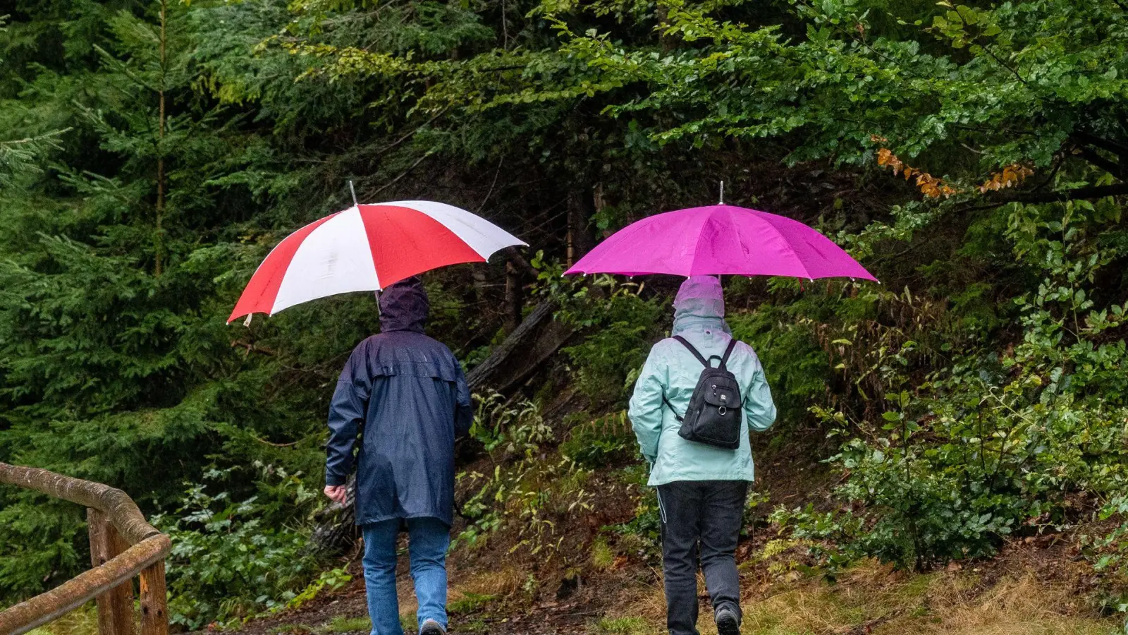 Der September 2024 war in Bayern von sehr viel Regen geprägt. (Archivbild) (Foto: Armin Weigel/dpa)