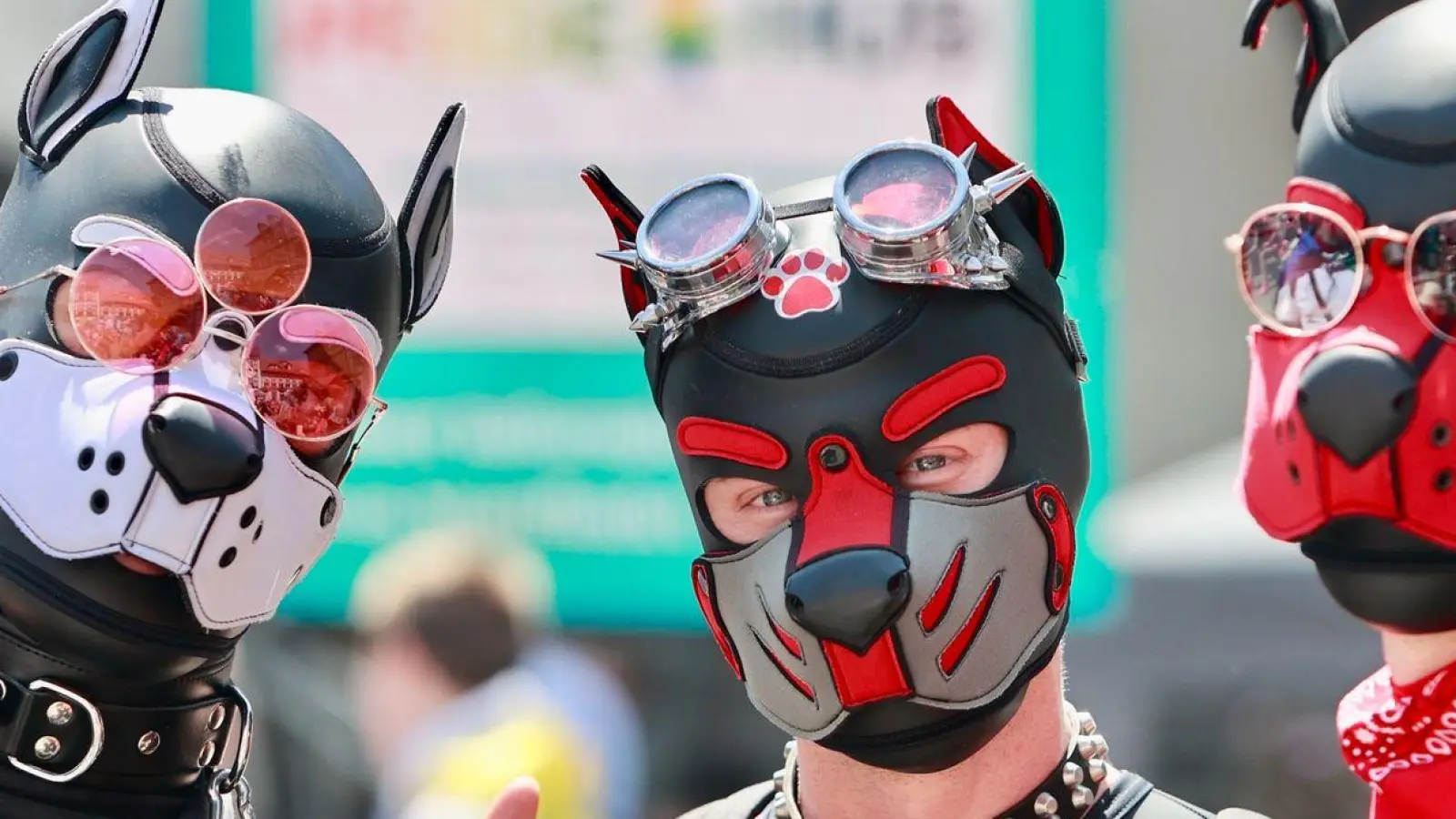 Pup Play wurde in den letzten Jahren zu einem sichtbareren Phänomen, wie hier bei dem Christopher Street Day in Wernigerode. (Foto: Matthias Bein/dpa)