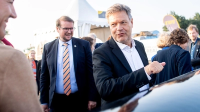 Nach den geplanten steuerlichen Anreize für E-Autos als Dienstwagen prüft die Bundesregierung weitere Anreize. (Archivbild). (Foto: Hauke-Christian Dittrich/dpa)