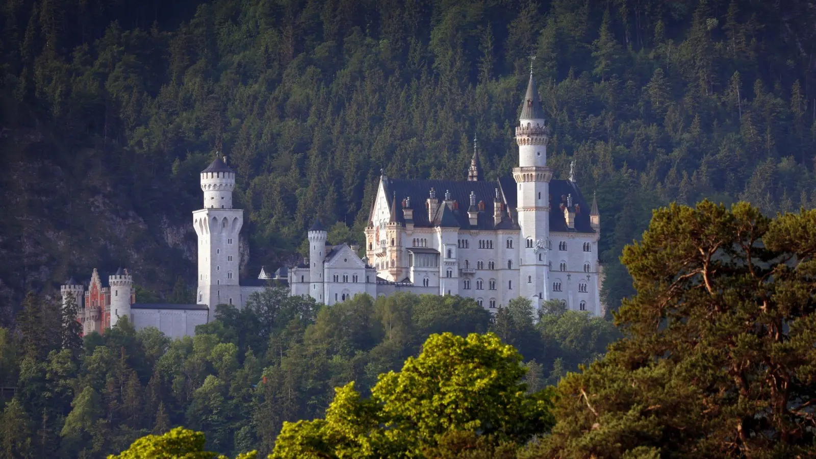 Das Schloss Neuschwanstein im Morgenlicht. Der Welterbeantrag für die Schlösser Neuschwanstein, Linderhof, Schachen und Herrenchiemsee ist bei der Unesco in Paris eingereicht worden. (Foto: Karl-Josef Hildenbrand/dpa)