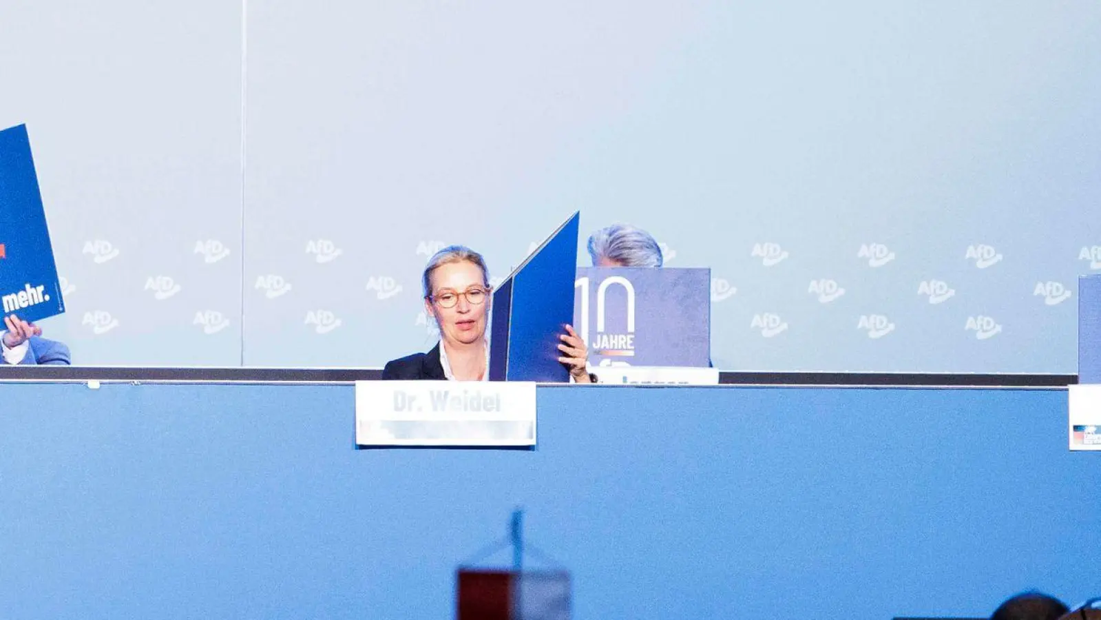 Die AfD-Bundesvorsitzende Alice Weidel bei der Europawahlversammlung in der Messe Magdeburg. (Foto: Carsten Koall/dpa)