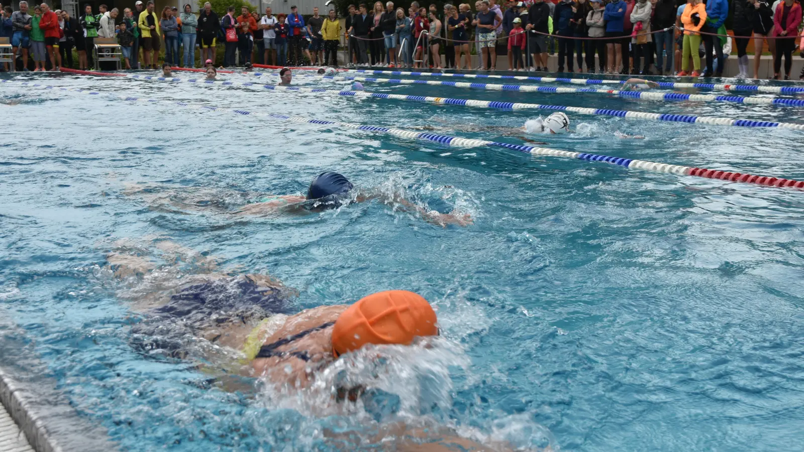 Ob Kraulen oder Brustschwimmen – in den Bahnen herrschte buntes Treiben. Jede Menge Zuschauer standen am Beckenrand und feierten die Sportler lautstark an. (Foto: Anita Dlugoß)