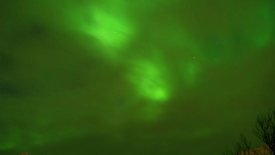 Das Grüne Polarlichter (Aurora borealis) kann man auf einer Schiffsreise zwischen Bergen in Norwegen sehen. (Foto: Andrea Warnecke/dpa-tmn)