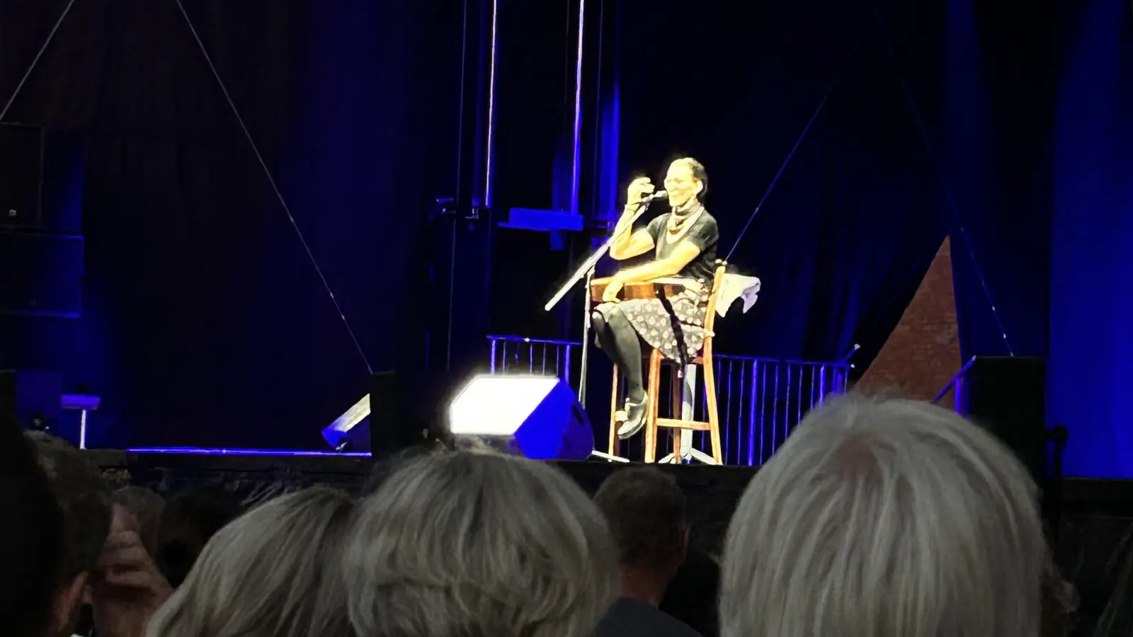 Das Konzertgelände auf dem Campus der Hochschule war mit 2050 Besuchern ausverkauft: Martina Schwarzmann erlebte ein Heimspiel in Ansbach. (Foto: Susanne Pfahler)