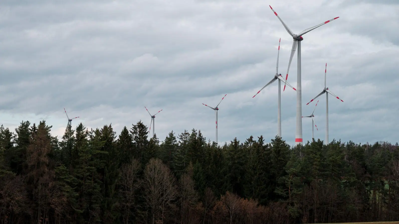 In bestimmten Ausnahmen lockern die Staatsforsten ihr bisheriges Vergabeverfahren für Windräder - nicht immer ist die Höhe der Pacht das entscheidende Kriterium für einen Zuschlag. (Archivbild) (Foto: Daniel Vogl/dpa)