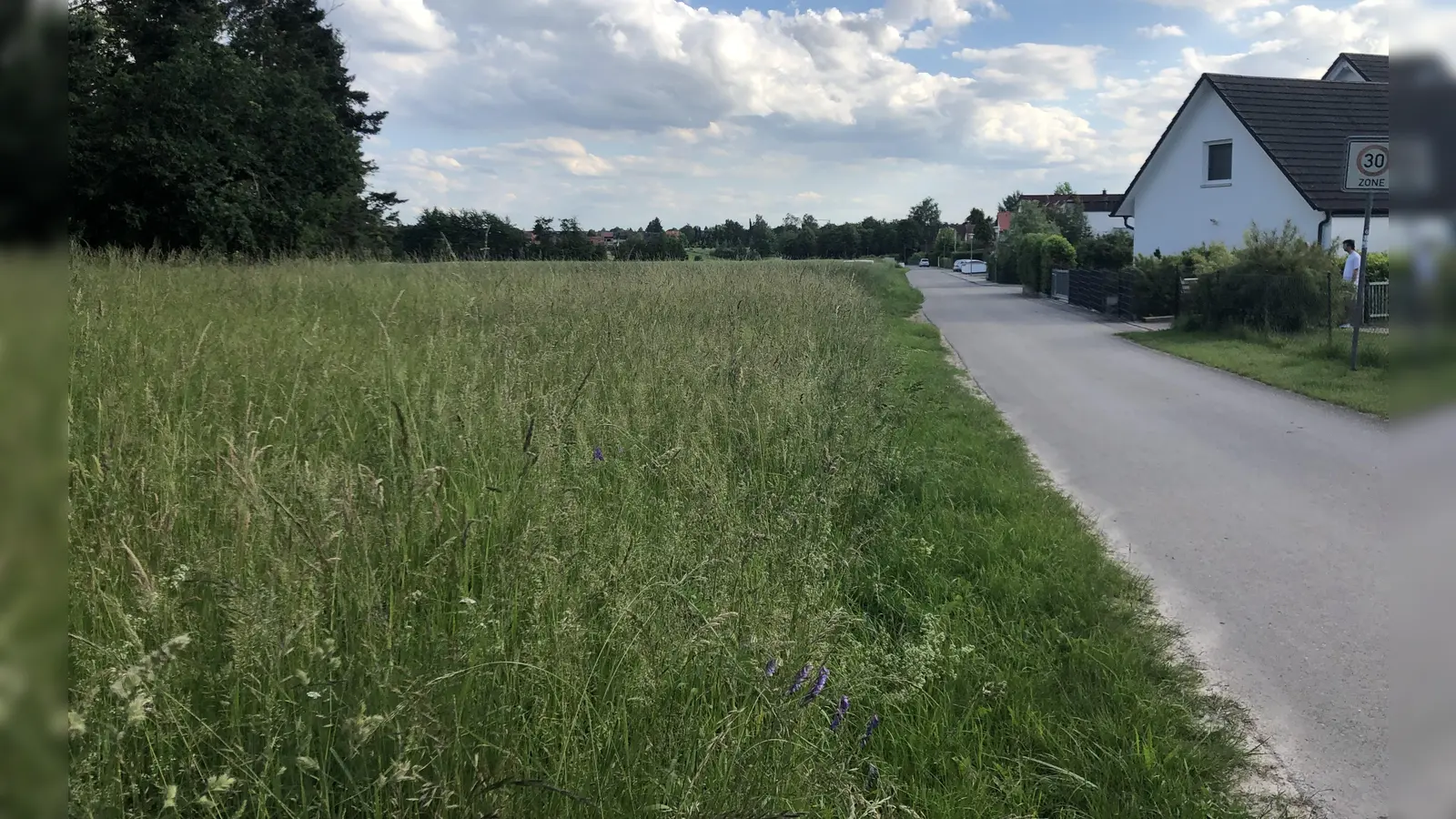 Idyllische Lage: Am Ortsrand von Petersaurach soll am Klostersteig ein neues Baugebiet entstehen. Nach einem Grundsatzurteil müssen die Planungen nun aber modifiziert werden. (Foto: Florian Pöhlmann)