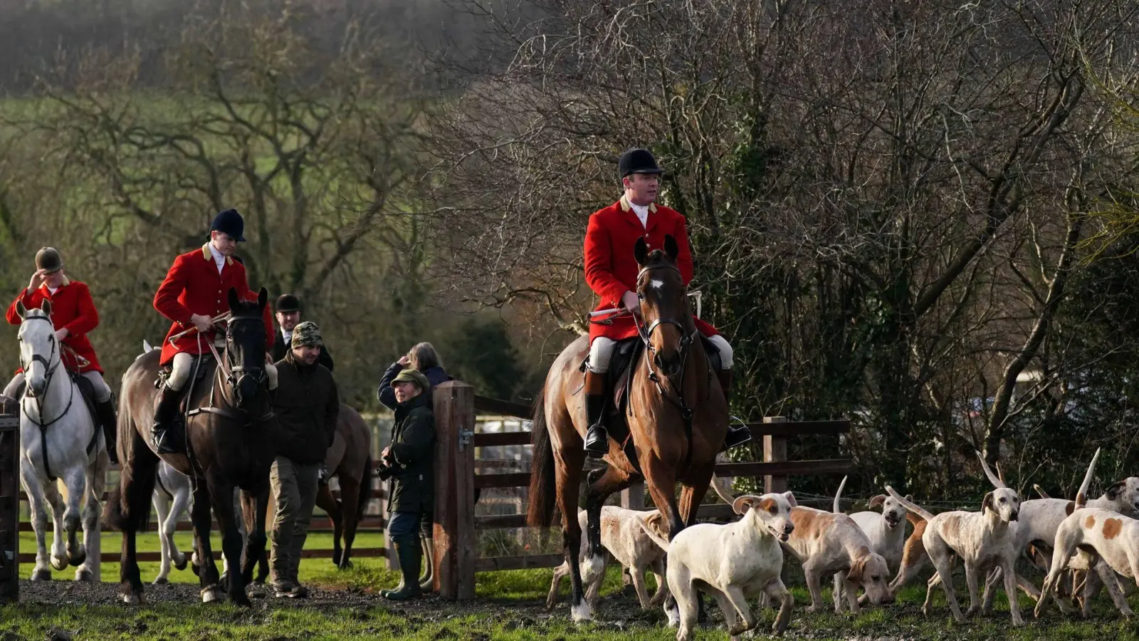 Fuchsjagd in England: Harmlose Tradition oder blutrünstiges Spektakel? (Archivbild) (Foto: Jacob King/PA Wire/dpa)