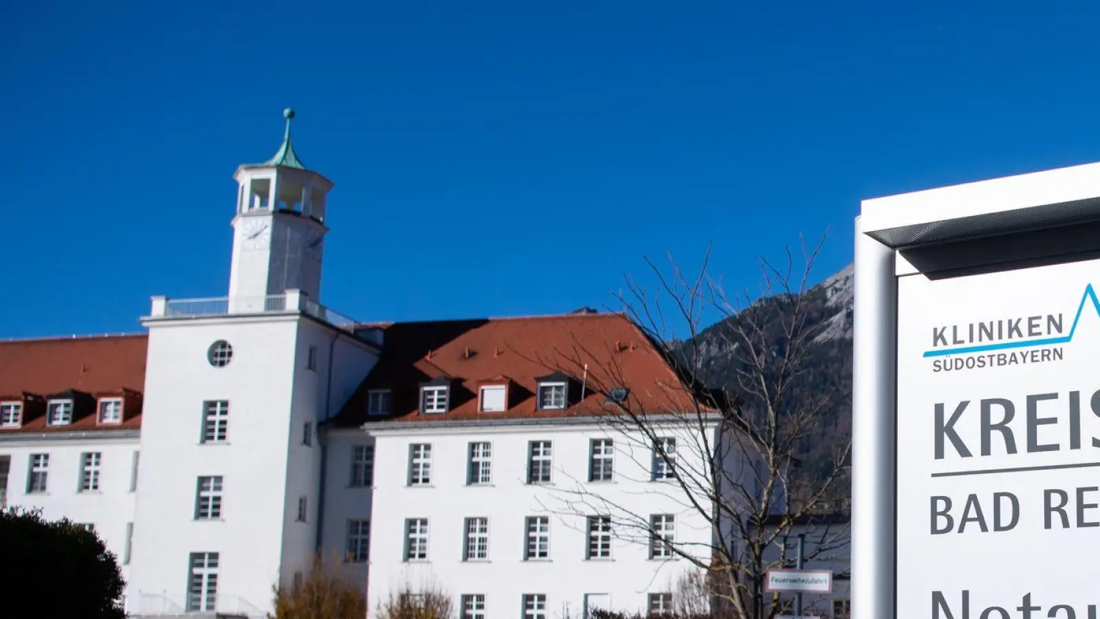 Ein Mädchen wurde in Bad Reichenhall von Hund gebissen. (Archivbild) (Foto: Sven Hoppe/dpa)