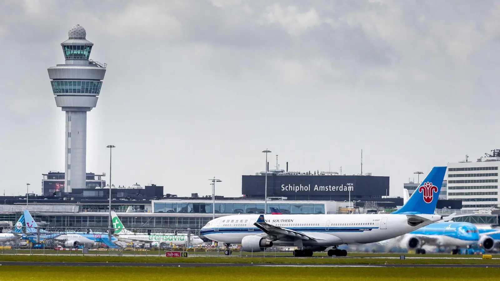 Weil er betrunken war, verpasste ein Steward in Amsterdam seinen Flug (Archivbild). (Foto: Lex Van Lieshout/ANP via epa/dpa)