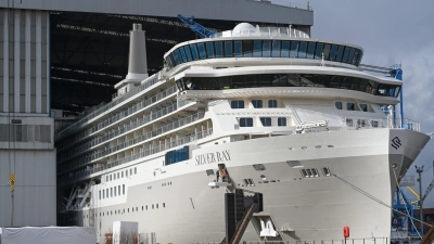 Die Meyer Werft braucht dringend sehr viel Geld - kurzfristig bis zum 15. September. (Archivbild) (Foto: Lars Penning/dpa)