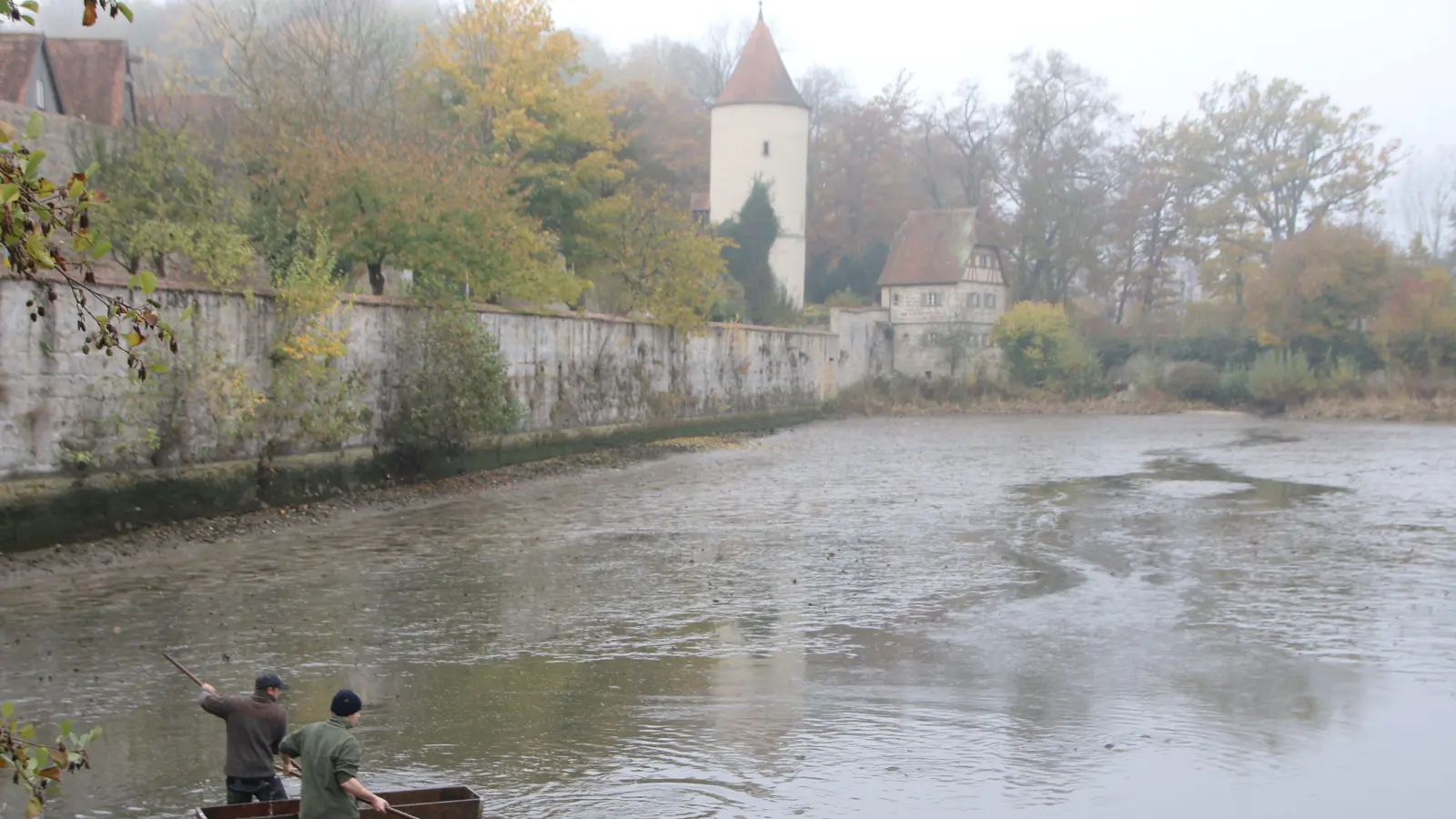 Am kommenden Samstag, 26. Oktober, um 9.30 Uhr startet die Fischerntewoche in Dinkelsbühl wieder mit dem Abfischen des Rothenburger Weihers.  (Archivfoto: Martina Haas)