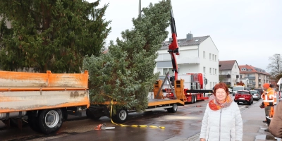 Elisabeth Matijas freut sich darüber, dass die Fichte, die ihr Vater vor dem Haus in der Oberhäuserstraße gepflanzt hat, nun zum Weihnachtsbaum in Herrieden wird. (Foto: Thomas Schaller)