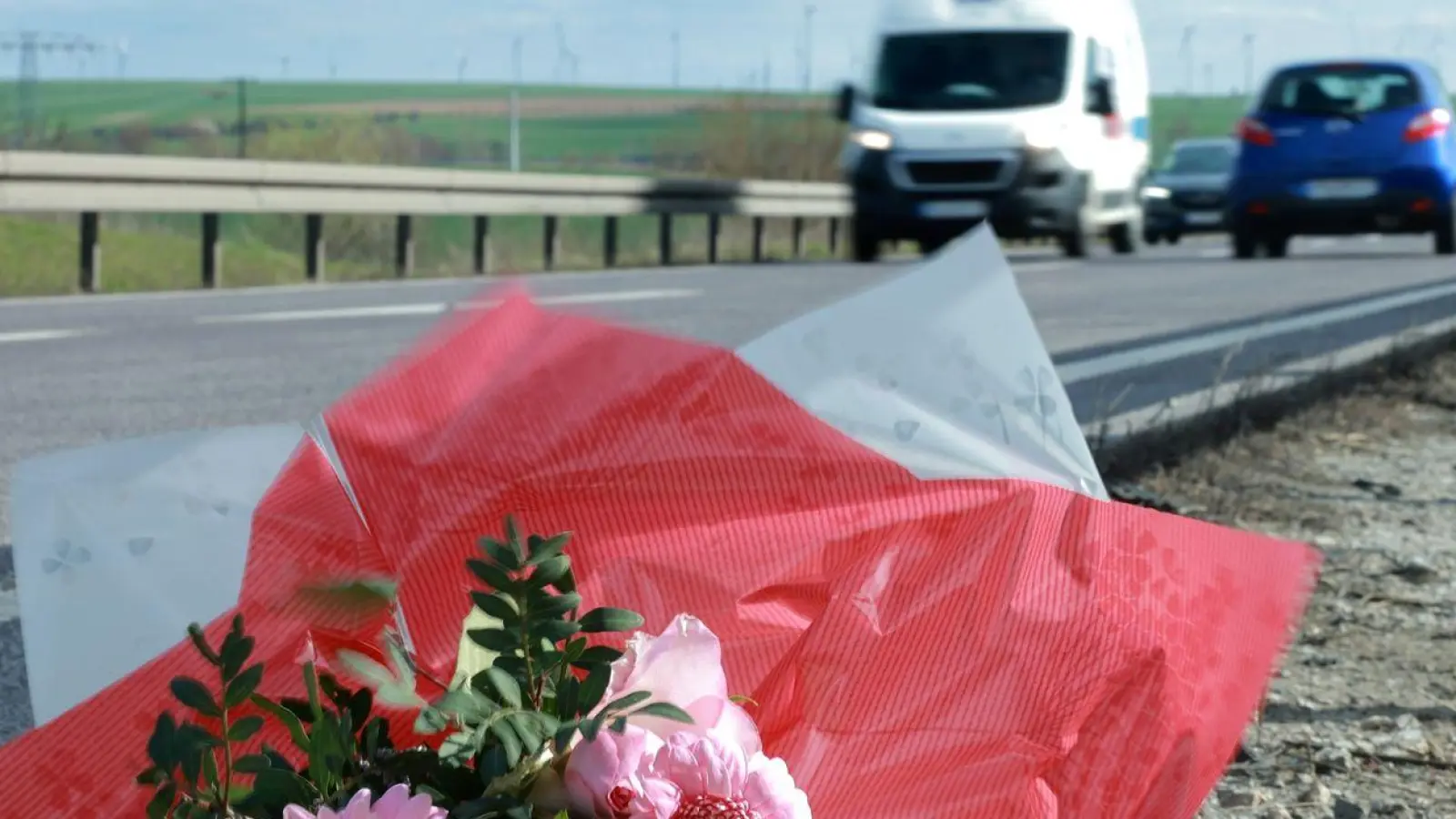 Blumen an der Unfallstelle an der Bundesstraße B247 (Archivbild). (Foto: Michael Reichel/dpa)