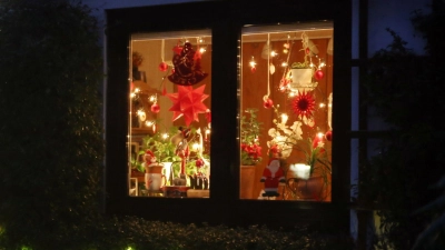 Wer jetzt schon an die vorweihnachtliche Beleuchtung denkt, kann auf stromsparende LEDs umsatteln. (Foto: Mascha Brichta/dpa-tmn)