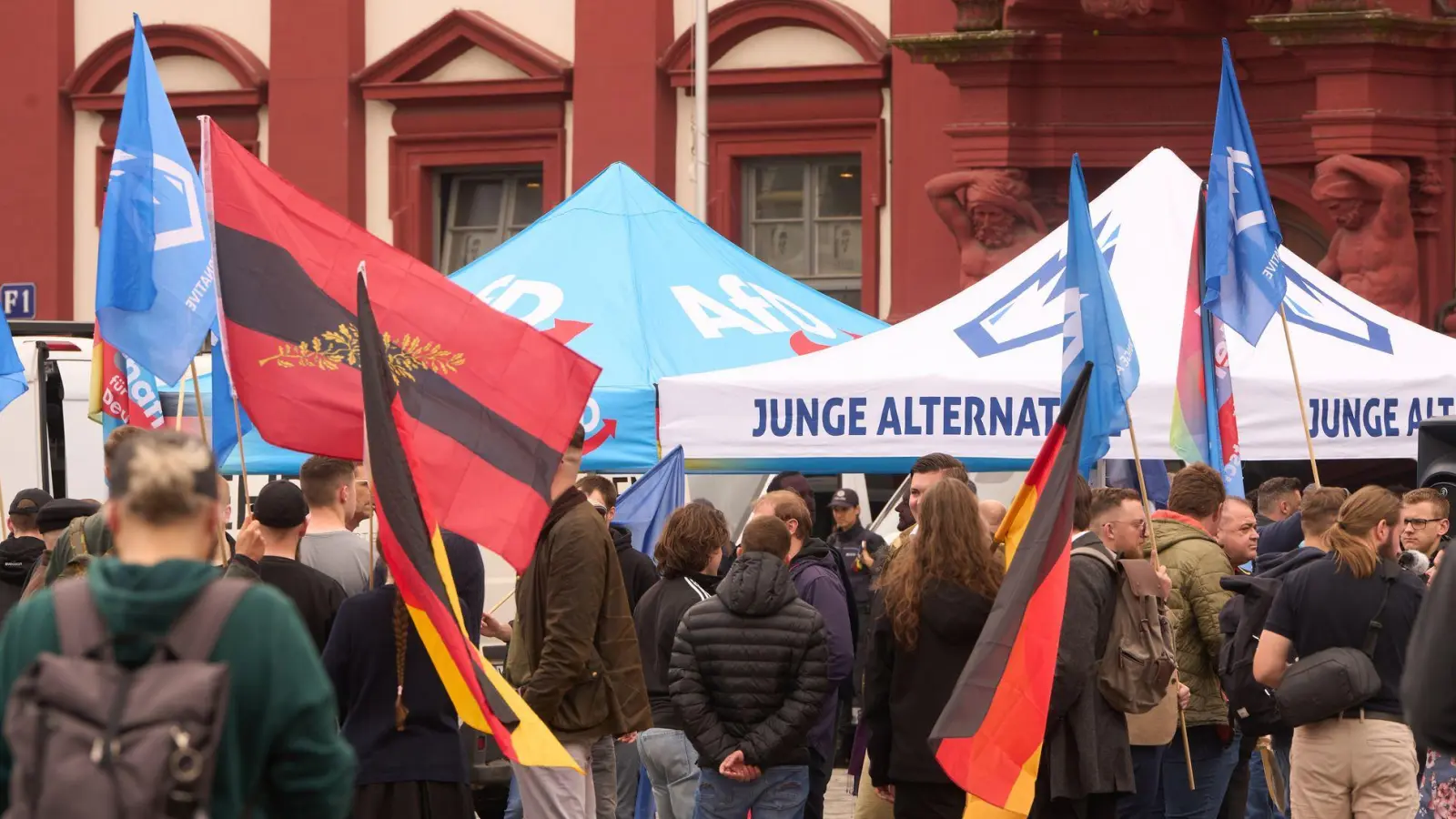 Die AfD will sich von ihrer Nachwuchsorganisation „Junge Alternative“ trennen. (Archivbild) (Foto: Thomas Frey/dpa)