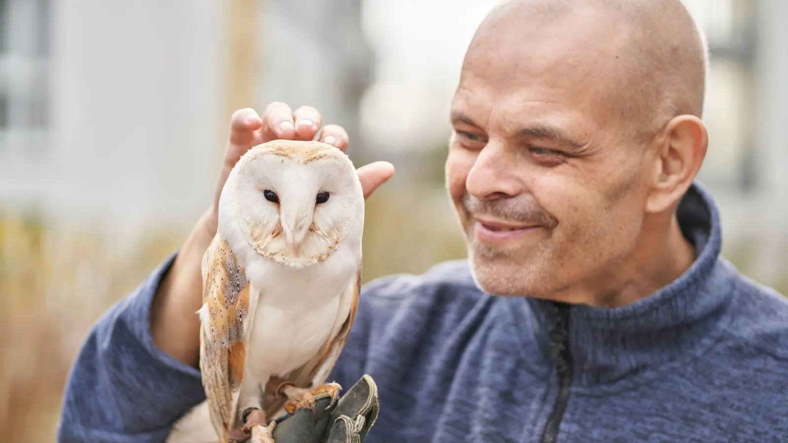 Jose Lay, Hospiz-Bewohner, streichelt die Weißgesichtseule Merlin. (Foto: Sascha Ditscher/dpa)