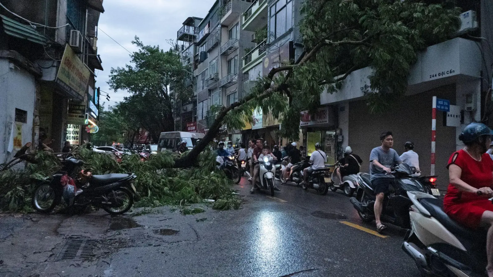 Durch den Taifun sind etliche Bäume umgestürzt. (Foto: Aniruddha Ghosal/AP/dpa)