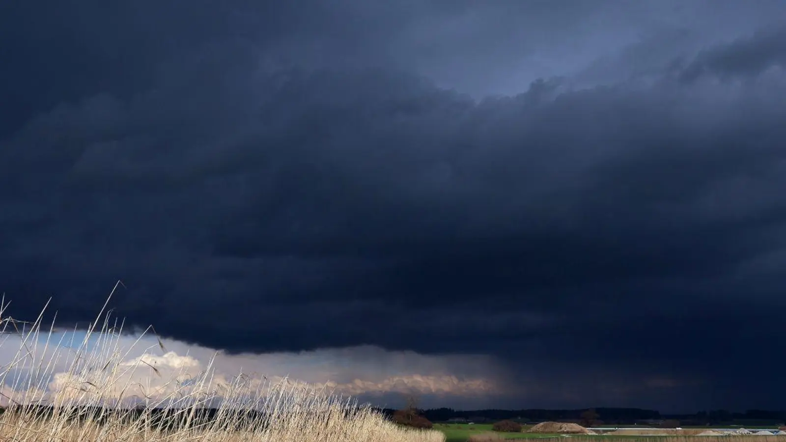 Gewitterwolken ziehen über ein Feld mit Schilf, welches noch von der Sonne beschienen wird. (Foto: Karl-Josef Hildenbrand/dpa)