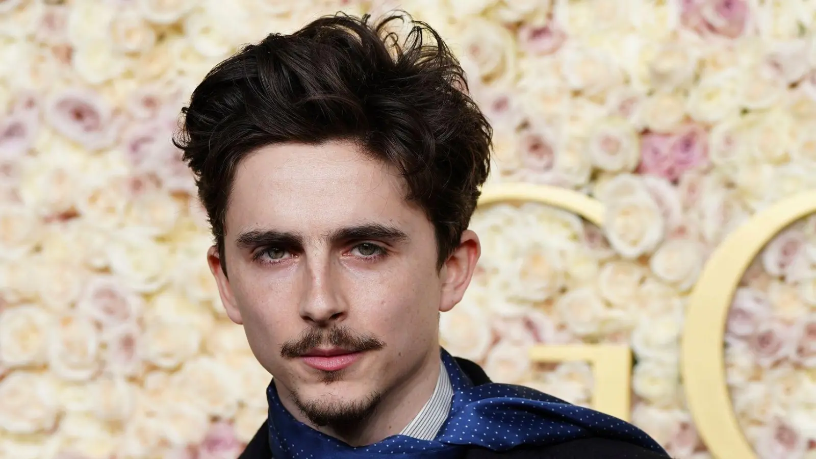 Timothée Chalamet gehört zu den Stars, die in Berlin erwartet werden (Archivbild). (Foto: Jordan Strauss/Invision/AP/dpa)