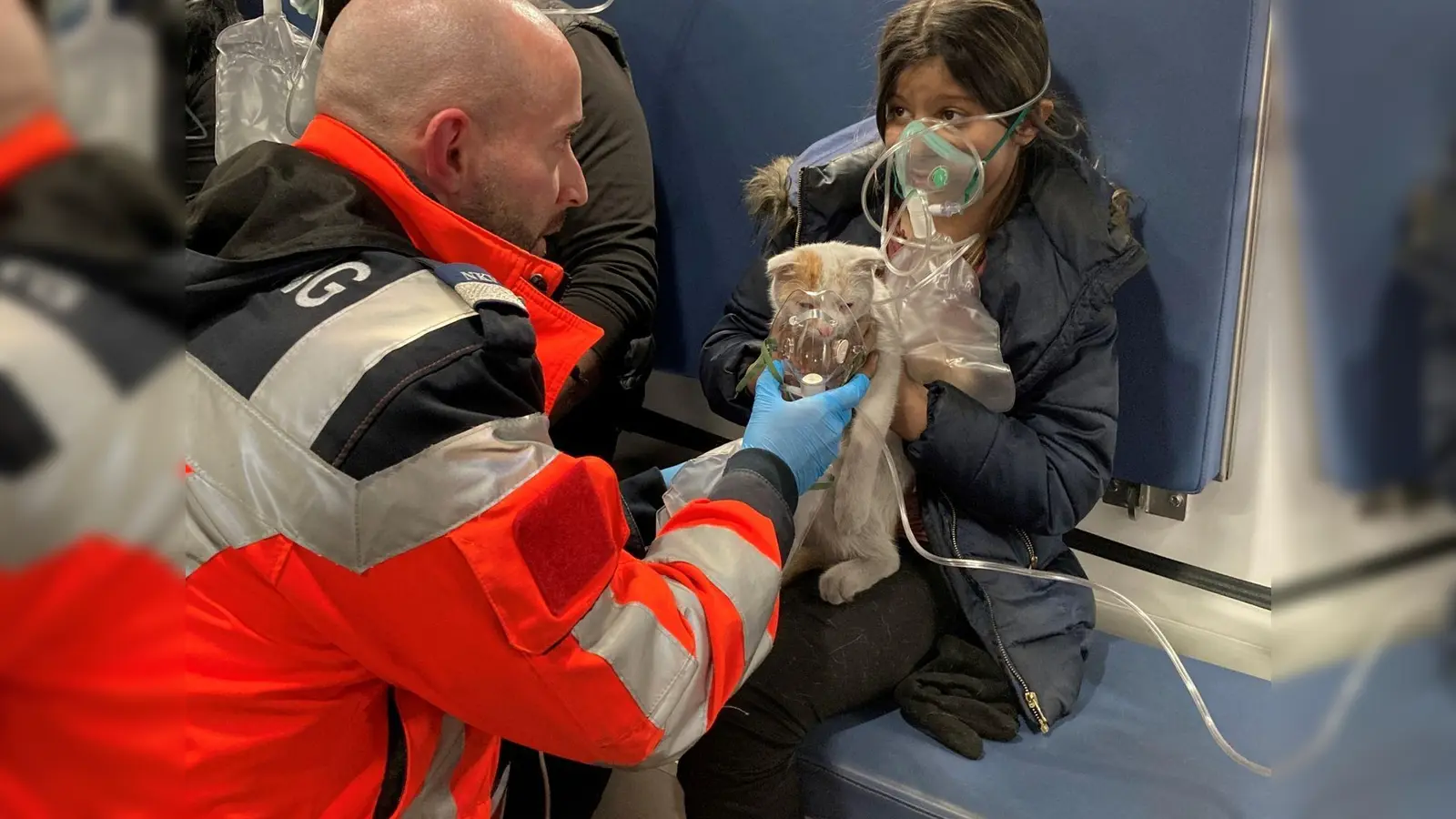 Auch eine Katze brauchte nach dem Brand medizinische Hilfe. (Handout) (Foto: -/BERUFSRETTUNG WIEN/dpa)