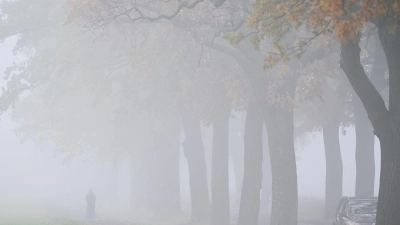 Das Wetter bleibt am Wochenende oft grau. (Archivbild)  (Foto: Patrick Pleul/dpa)