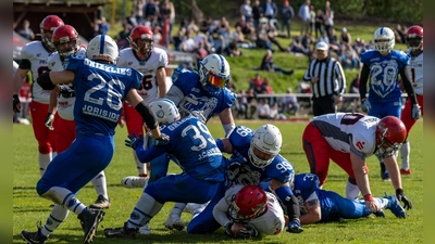 Der starke Ansbacher „Nose-Tackle“ Christopher Auspelmyer (Bildmitte, mit der Nummer 99) bei einem Tackle gegen den Herzogenauracher Ballträger (ganz unten). (Foto: Tobias Wernick)