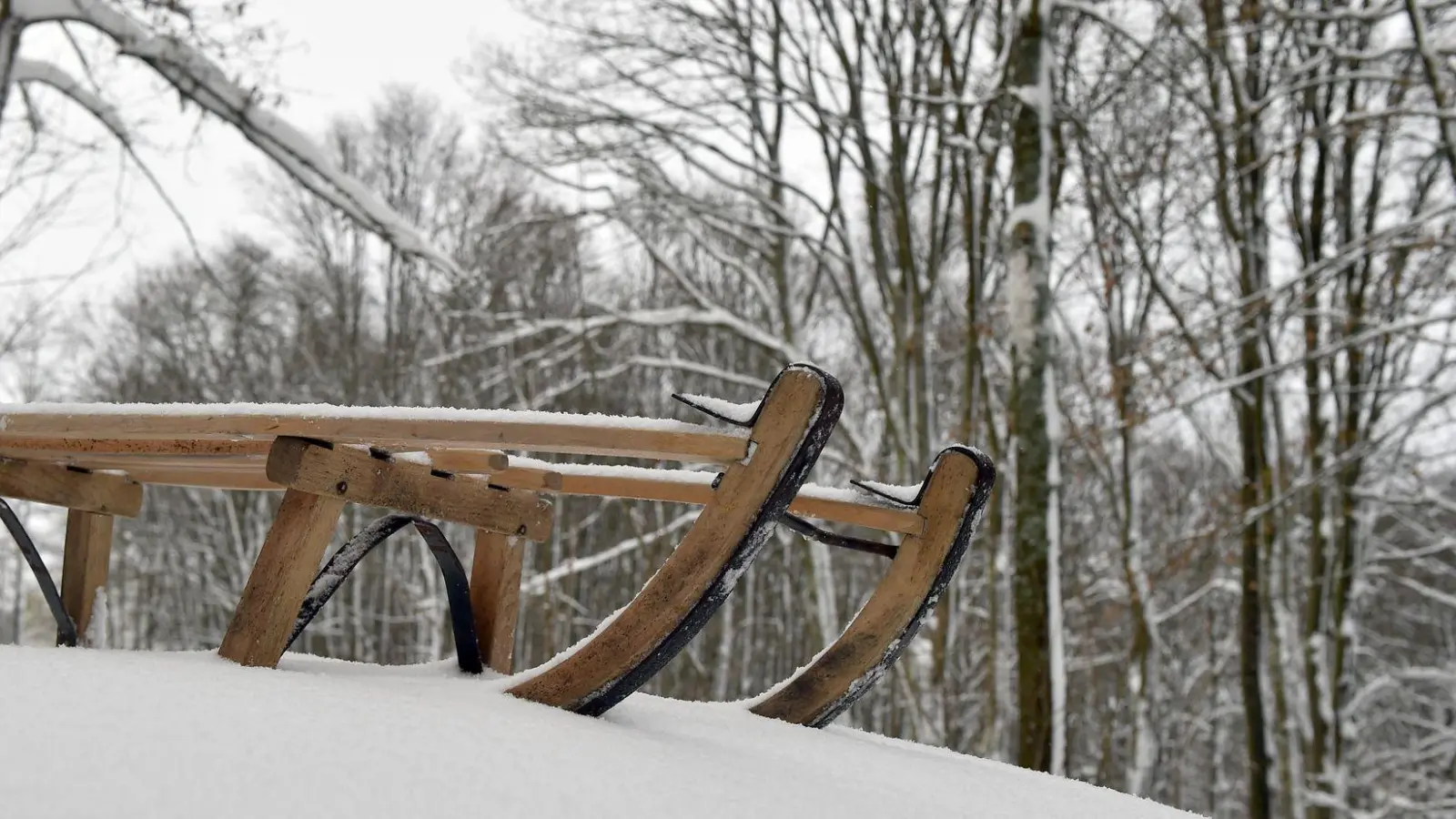 Drei Deutsche mussten nach Rodelunfall ins Krankenhaus. (Symbolbild) (Foto: picture alliance / Caroline Seidel/dpa)