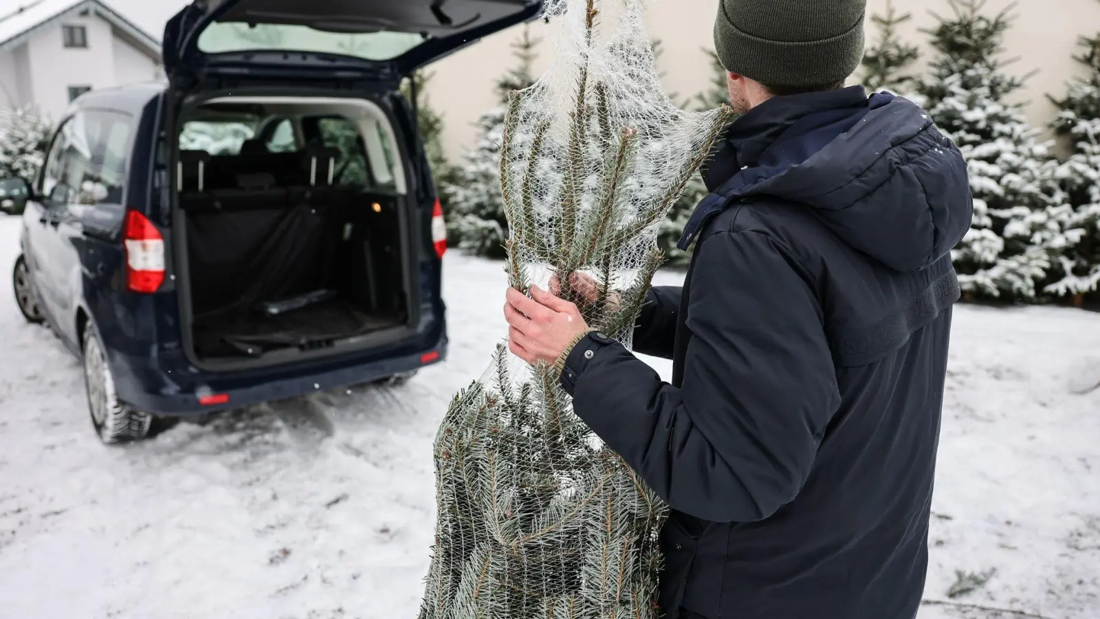 So, der erste Schritt ist getan: Sie haben sich für einen Baum entscheiden können. Dann geht es jetzt nur darum, ihn sicher heimzubringen. (Foto: Oliver Berg/dpa/dpa-tmn)