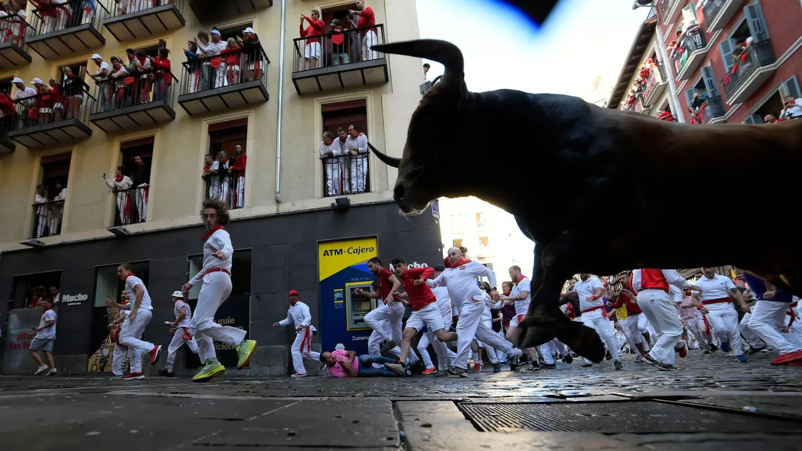 Die Stiere haben lange und spitze Hörner. (Foto: Alvaro Barrientos/AP/dpa)